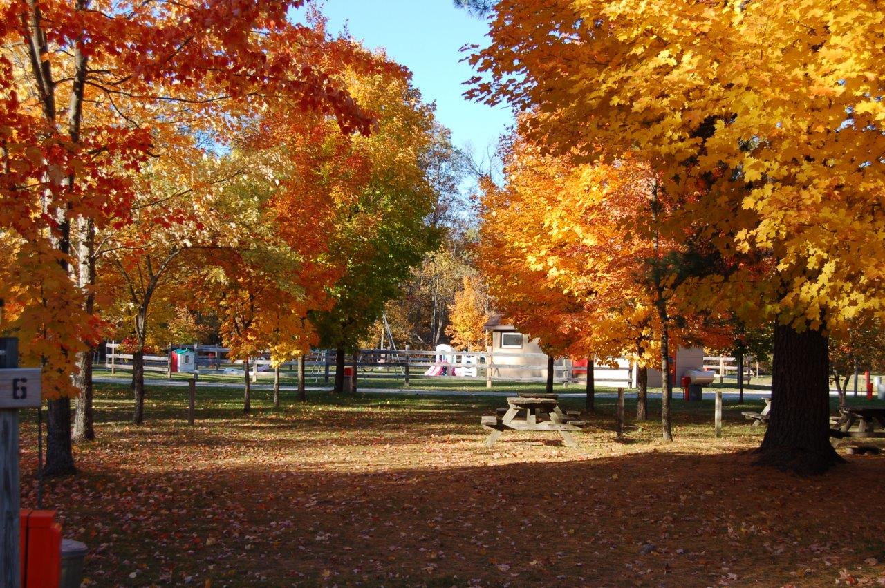 Cadillac campground Manistee Irons miochigan.jpg